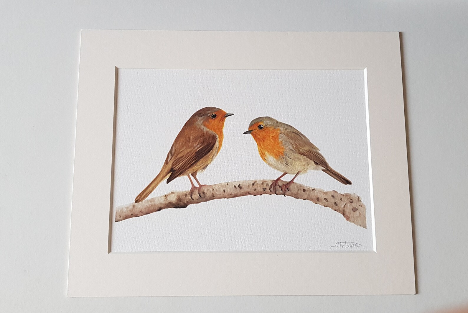 Two Red Robins Fine Art Print Etsy Denmark