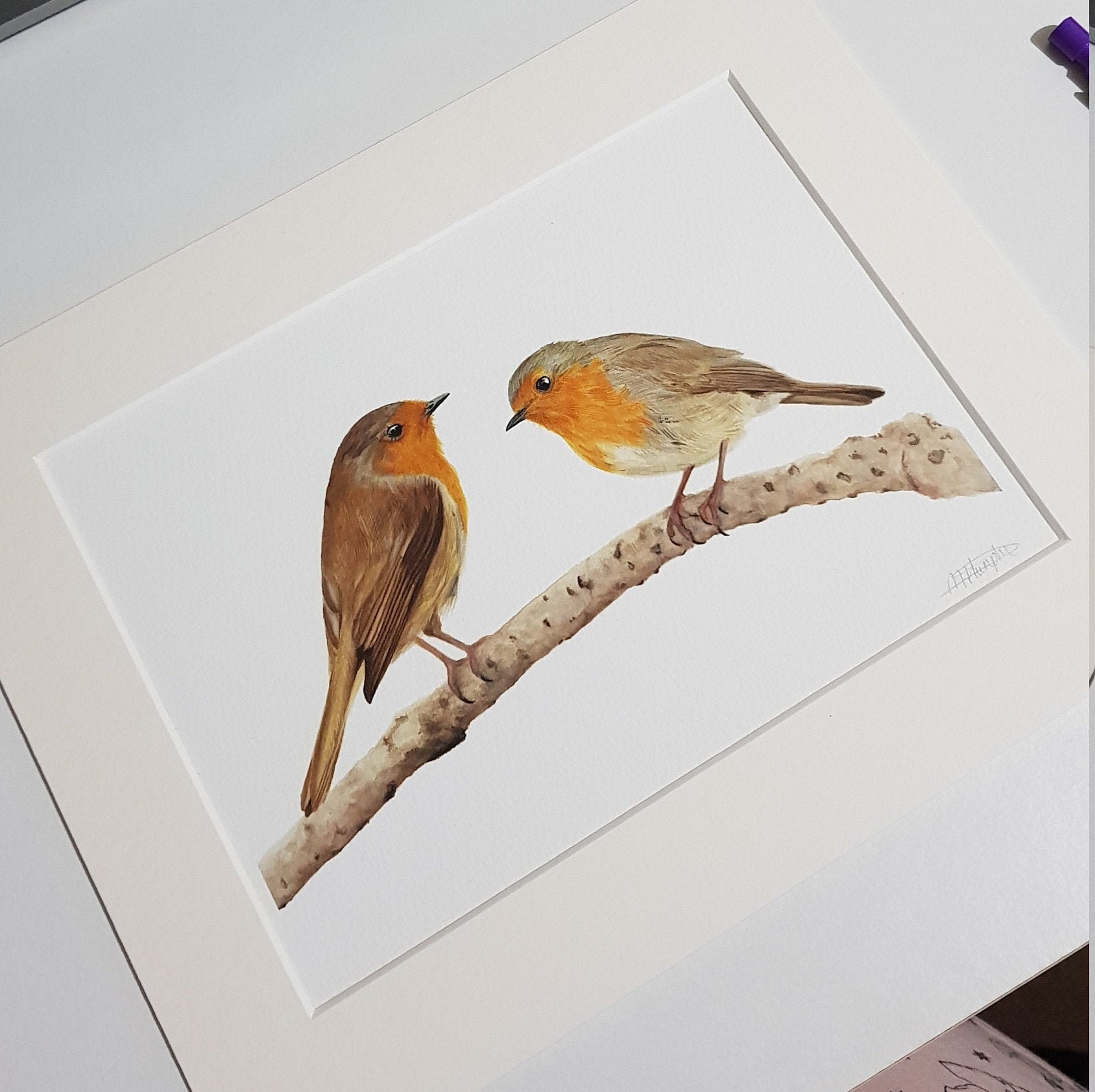 Two Red Robins Fine Art Print Etsy