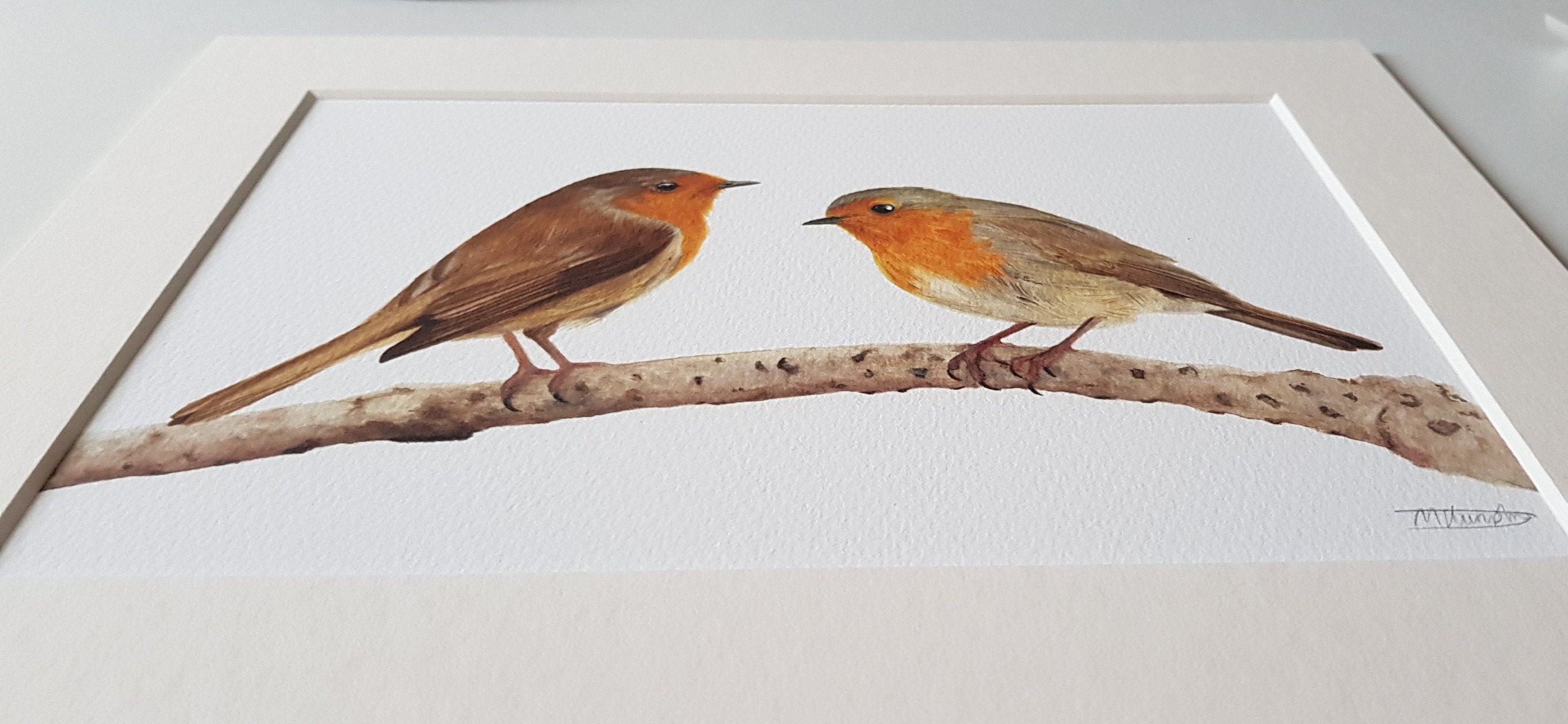 Two Red Robins Fine Art Print Etsy