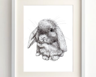 Cute Fluffy Lop Eared Bunny Rabbit Pet Ink Pen Hand Drawing Unframed Signed Limited Edition Giclee Print Art Easter Birthday Gift Present