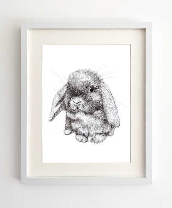 Say Cheese Rabbit - Coloured pencil drawing of a Lop Eared Bunny with it's  Tongue out by Deidre Wicks