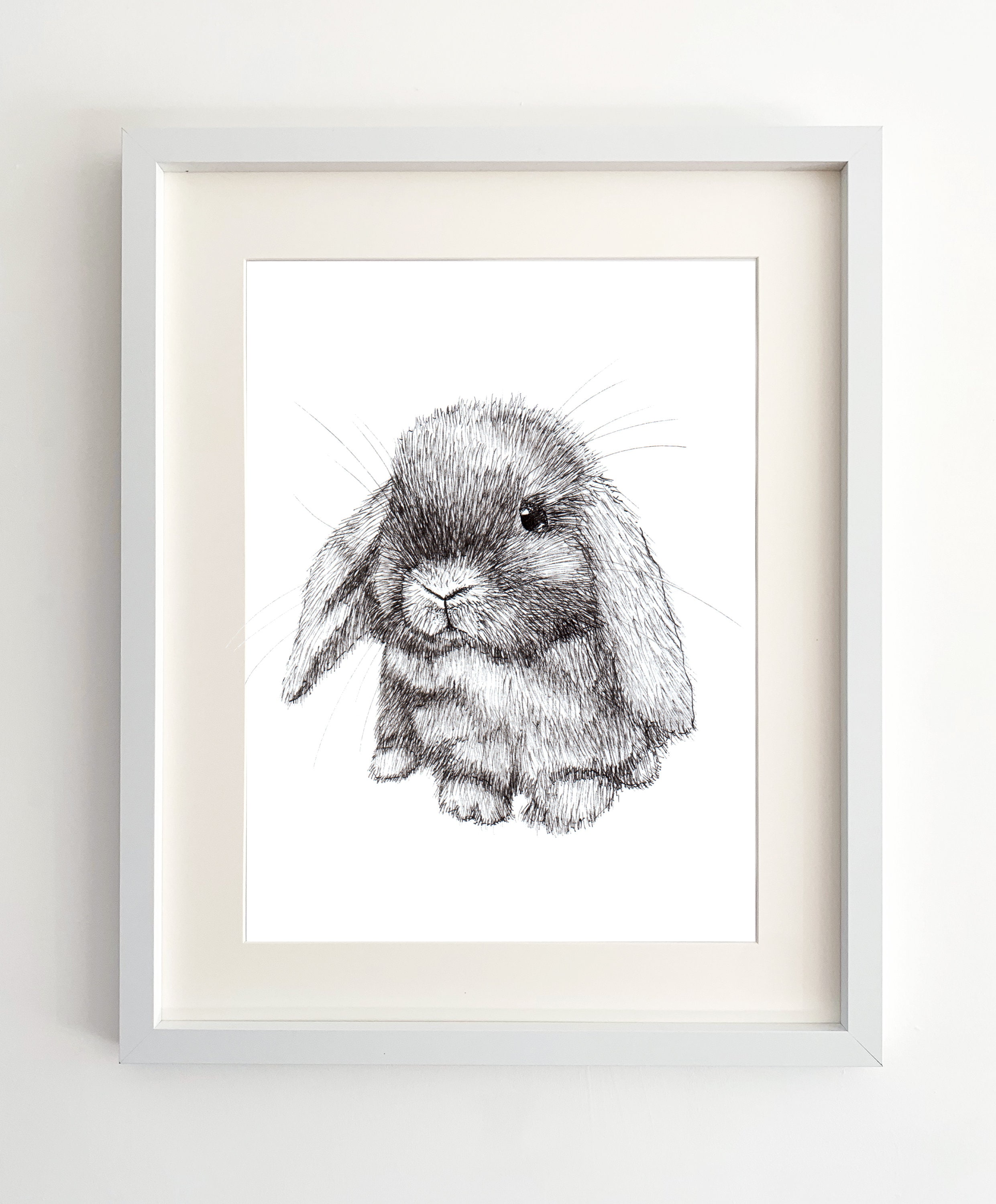 Bunny Sketch Stock Photos and Images  123RF