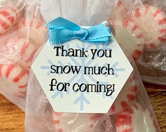 Thank You Snow Much For Coming, Winter Baby Shower Favor Tags, Listing for Tags Only