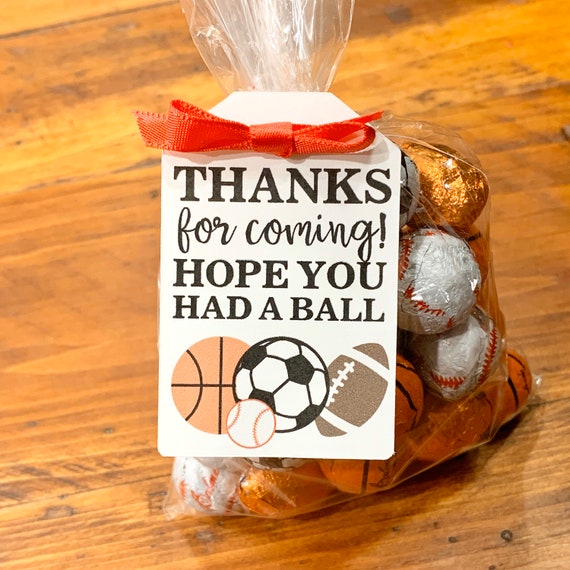 Sports Theme Birthday Favor Tags, Hope You Had a Ball Printed Thank You Tags, Sports Birthday Goody Bag Tags, Listing for TAGS ONLY