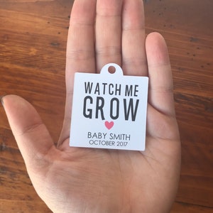 Watch Me Grow Tags 2 wide, Watch Me Grow Baby Shower Favor Tags, Seed, Plant or Succulent Baby Shower Favor Tags, Listing for Tags Only image 2