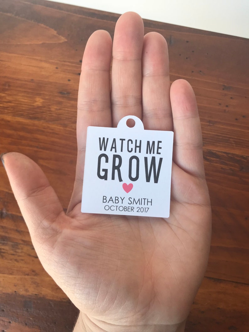 Watch Me Grow Tags 2 wide, Watch Me Grow Baby Shower Favor Tags, Seed, Plant or Succulent Baby Shower Favor Tags, Listing for Tags Only image 2