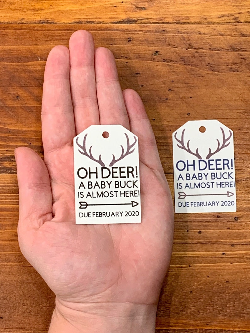 Deer Tag Cost Ohio at Rosa Hoffman blog