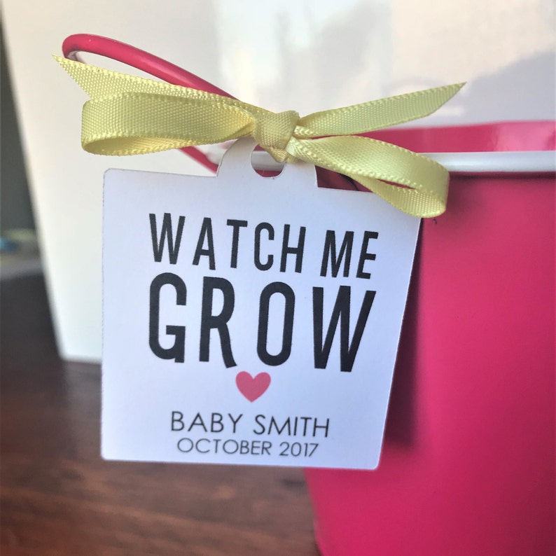 Watch Me Grow Tags 2 wide, Watch Me Grow Baby Shower Favor Tags, Seed, Plant or Succulent Baby Shower Favor Tags, Listing for Tags Only image 1