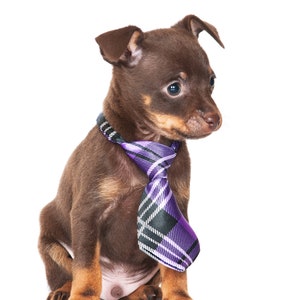 Baby & Pet Neckties Ties Great for Photography -Dogs, Cats, Babies, and More