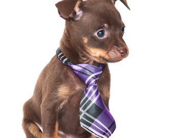 Adjustable Baby & Pet Necktie: Silk Photography Prop