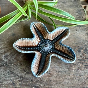 May include: A ceramic starfish-shaped dish with a brown, black, and blue color scheme. The dish has a detailed design with a central circular pattern and textured edges. The dish is placed on a wooden surface.