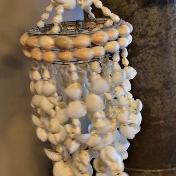 Seashell Chandelier - Etsy