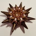 Beaded pendant "Embla", with Swarovski crystals and spikes in brown and gold