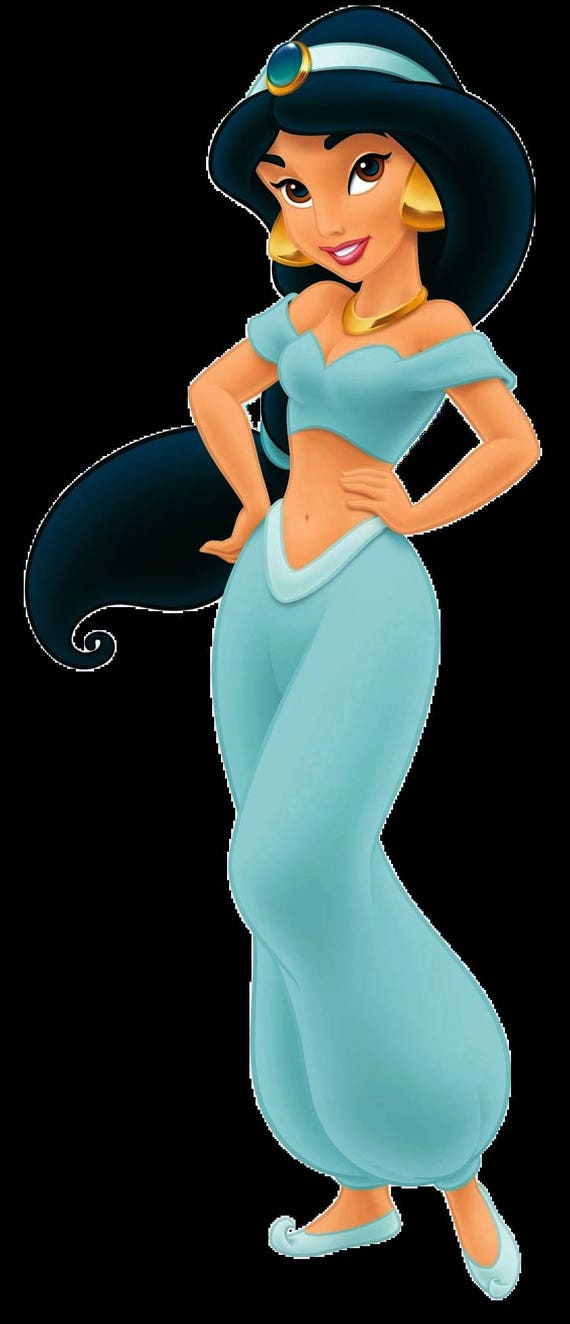 Jasmine Aladdin disney movie costume cosplay -  Italia