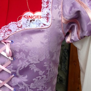 Rapunzel Tangled disney princess dress costume (full costume or only the bodice)