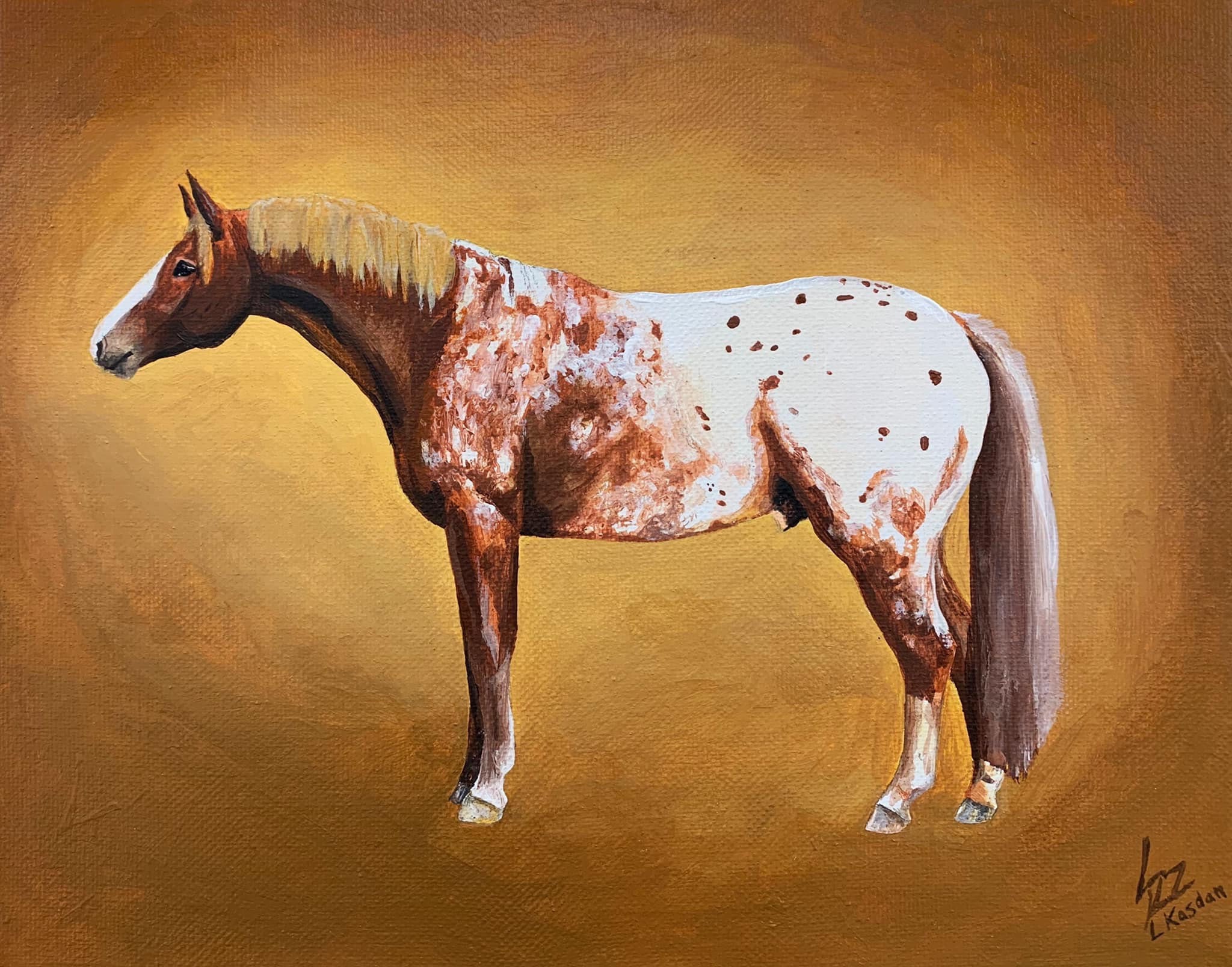 Appaloosa horse acrylic painting on canvas Etsy