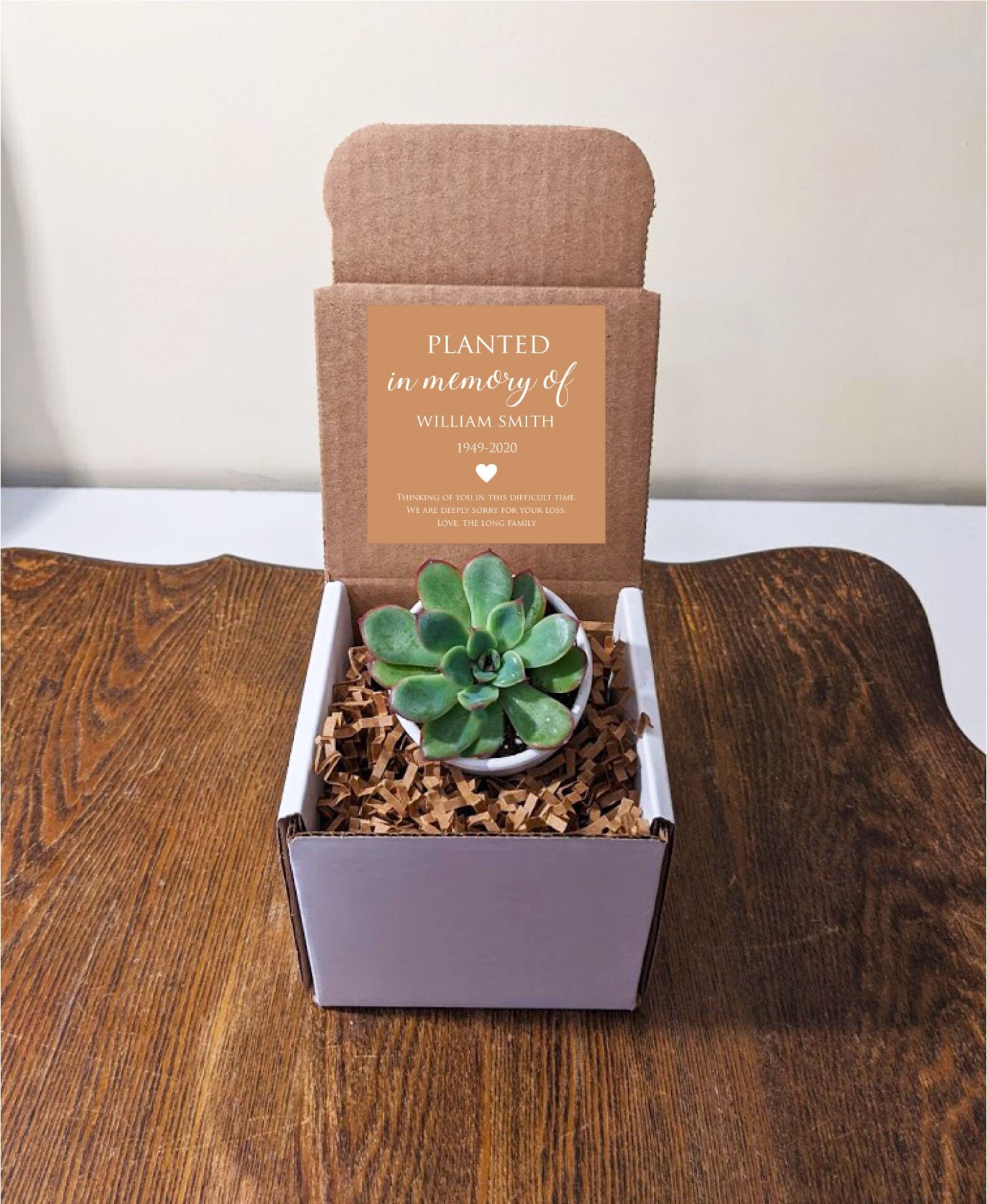 Sympathy Gift Succulent With Personalized Message. Personalize Etsy