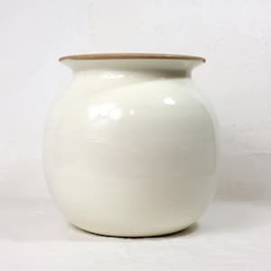 May include: A cream ceramic vase with a rounded body and a slightly flared rim. The rim is a warm brown colour, contrasting with the smooth, glossy white surface. The vase has a simple, elegant design.
