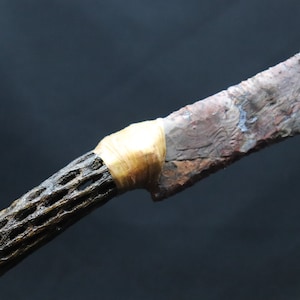 Flint Ridge Ohio Knapped Fantasy Knife Blade Hafted Cholla Cactus Mango de madera Varita Wiccan/Abrecartas/Herramientas de corte de cable con funda de cuero