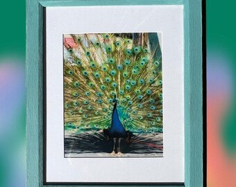 Peacock Art Print (with frame)