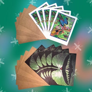 Vintage Insect Cards