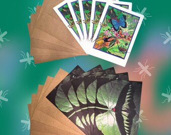 Vintage Insect Cards