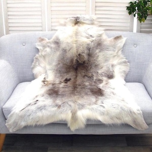Genuine Scandinavian Reindeer Hide Rug Massive Real Reindeer Skin Pelt Sofa Floor Cover R518
