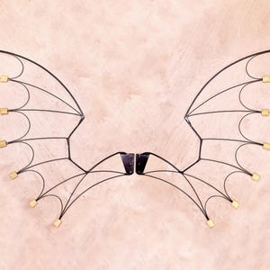 Bärbara eldvingar, drakfladdermusdemonstil