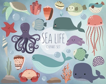 May include: A set of colorful cartoon sea life illustrations, including a blue whale, an octopus, a jellyfish, a starfish, a sea turtle, a pufferfish, a crab, and coral. The text "SEA LIFE CLIPART SET" is in the center of the image.