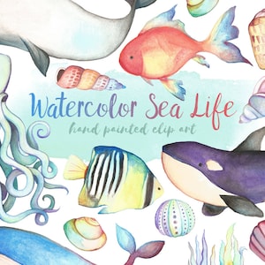 Watercolor Sea Life Clipart - Watercolor Clipart, Hand Painted Clip Art, Unique Ocean Clipart, Watercolor Digital Printable