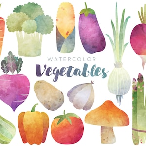 Watercolor Vegetables Clipart - 300 DPI Watercolor Clip Art Set - Veggies, Food Clipart, Health, Vegetable Art