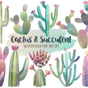 Clipart de cacto aquarela - clipart aquarela, clipart de cacto, clipart de suculentas, imprimíveis digitais em aquarela, clipart de verão