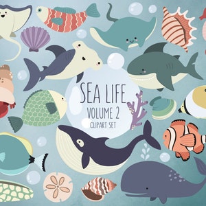 Sea Life Clipart Volume 2 - Ocean Clip Art Set - 24 Hi-Res Vector, PNG, & JPG Designs, Summer Clipart, Beach Clipart Download