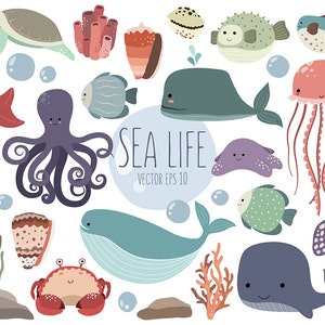 Sea Life Clipart 25 Cute Ocean Animals Clip Art Set Quality Vector, PNG & JPG 300 DPI Summer Clipart, Adorable Beach Art image 2