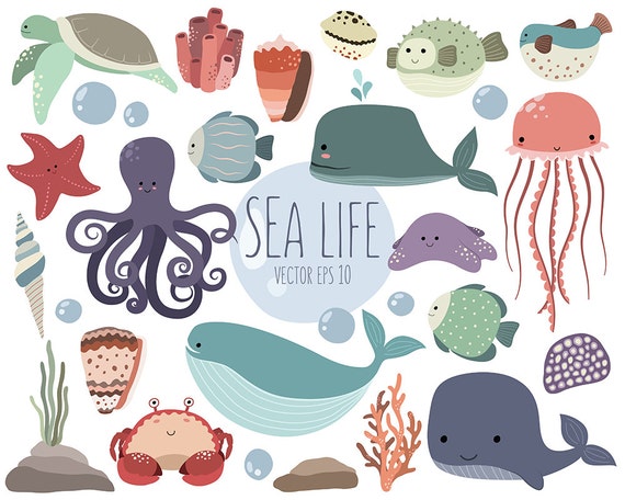 Sea Life Clipart - 25 Cute Ocean Animals Clip Art Set - Quality Vector, PNG  & JPG 300 DPI Summer Clipart, Adorable Beach Art