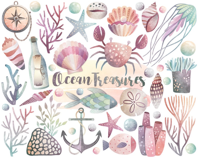 May include: Watercolor illustrations of ocean treasures, including a compass, seashells, starfish, coral, a crab, a fish, an anchor, and a bottle with a rolled up message inside. The text "Ocean Treasures" is written in a whimsical font.