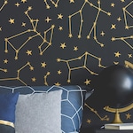 Constellation Stickers