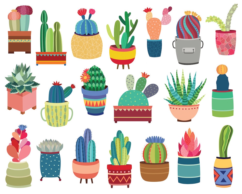 Cactus Potted Succulents Clipart 20 Hand Drawn Vector Png And Jpg Files Cute Clip Art Unique Tribal Design Elements