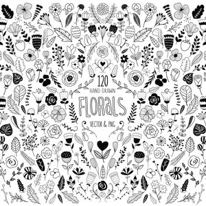 120 clipart de elementos de design floral desenhados à mão - arquivos vetoriais, PNG e JPG - flores esboçadas, clipart fofo