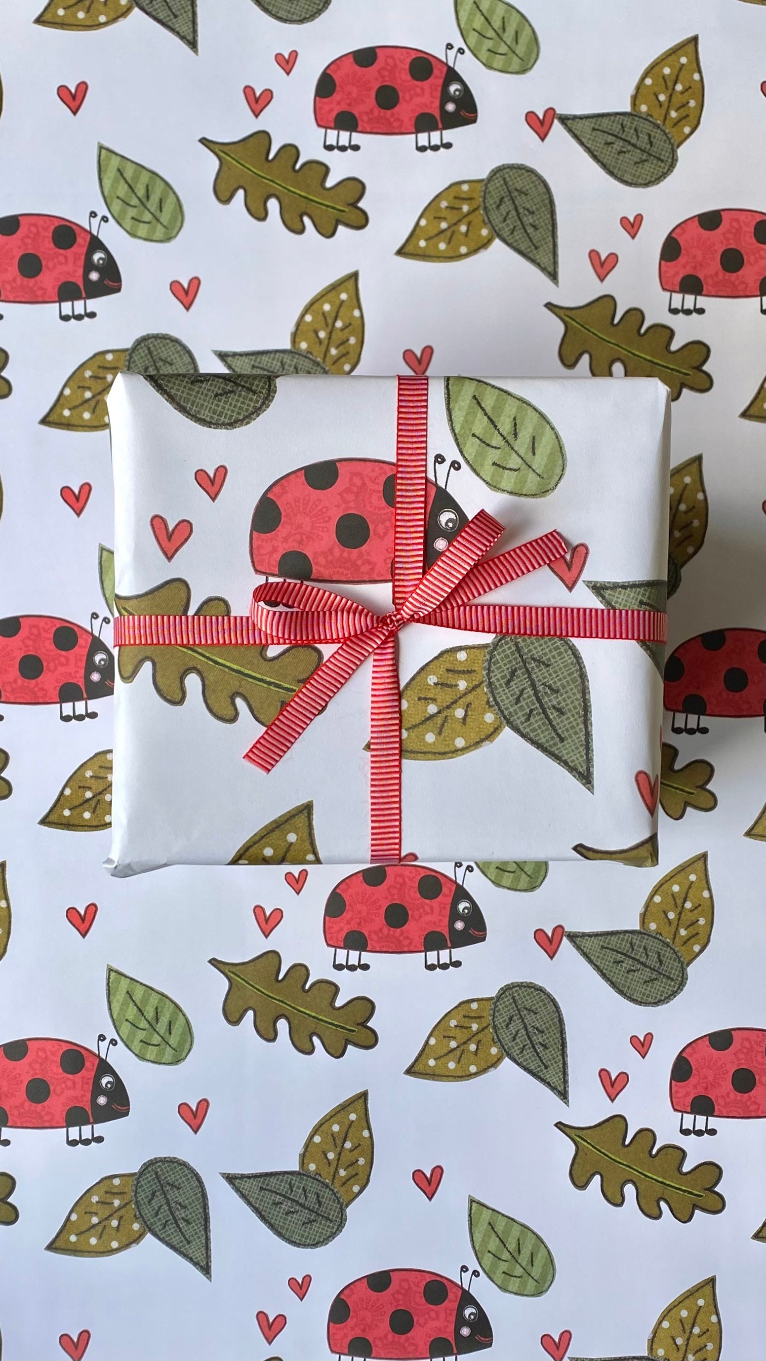 Ladybird Eco Wrapping Paper Sheet | 70cm x 50cm | Eco Friendly Recyclable | Gift Wrap | Plastic Free | Carbon Zero