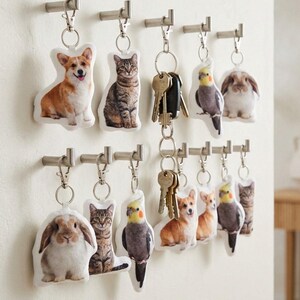 May include: Keyrings with animal designs, including a corgi, cat, cockatiel, and rabbit, hanging on metal hooks. Some keyrings hold keys. The keyrings are attached to a white wall.