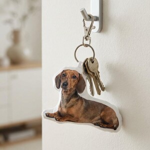 Op de afbeelding: Een sleutelhanger met een afbeelding van een teckel. De sleutelhanger is bevestigd aan een zilveren metalen haak met een sluiting en een ring met meerdere sleutels. De hond is bruin en bruingeel, liggend.