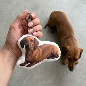 May include: A brown dachshund keyring with a silver clasp is held up next to a real dachshund dog. The keyring is a plush, pillow-like shape with a photo of a dachshund printed on it. The dog is brown with a long body and short legs.