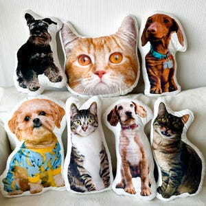 Personalized Realistic Pet Pillow, Custom Ugly Pet Pillow, Custom Pet Pillow, Gifts For Pet Lover, Gifts for Cat Lover, Gifts for Dog Lover