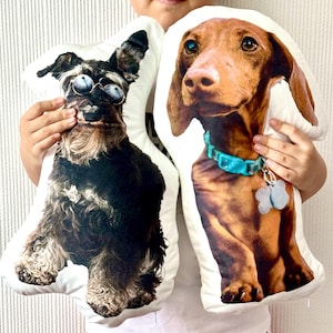 Custom Pet Pillow, Personalized Realistic Pet Pillow, Ugly Pet Pillow, Gifts For Pet Lover, Gifts for Cat Lover, Gifts for Dog Lover