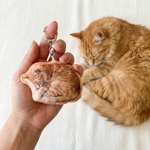 Op de afbeelding: Een sleutelhanger met een slapende oranje tabby kat. De sleutelhanger heeft een zilveren sluiting en een zachte, pluche textuur. De kat op de sleutelhanger weerspiegelt een echte oranje tabby kat op de achtergrond.