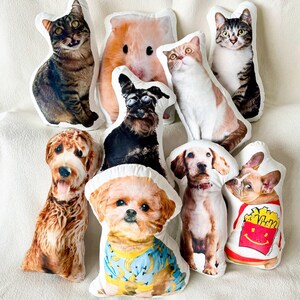 Custom Dog Pillow, Custom Cat Pillow, Ugly Pet Pillow, Realistic Pet Pillow, Gifts For Pet Parent, Custom Pet Shaped Pillow