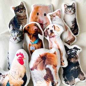 Custom Cat Pillow, Custom Dog Pillow, Realistic Pet Pillow, Ugly Pet Pillow, Pet Memorial Gifts, Gifts for Cat Lover, Gifts for Dog Lover