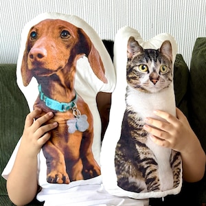 Custom Cat Pillow, Personalized Dog Pillow, Realistic Cat Pillow, Ugly Dog Pillow, Pet Memorial Gifts, Custom Pet Shaped Pillow