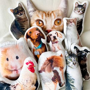 Custom Pet Pillow, Personalized Realistic Dog Pillow, Ugly Cat Pillow, Gifts For Pet Lover, Gifts for Cat Lover, Gifts for Dog Lover